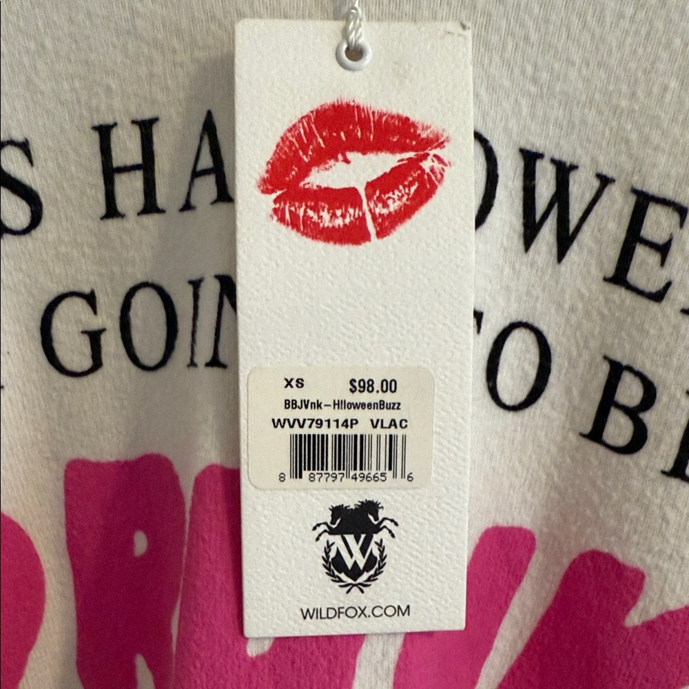 Wildfox Cream V-Neck Halloween Sweatshirt XSmall - Picture 5 of 8